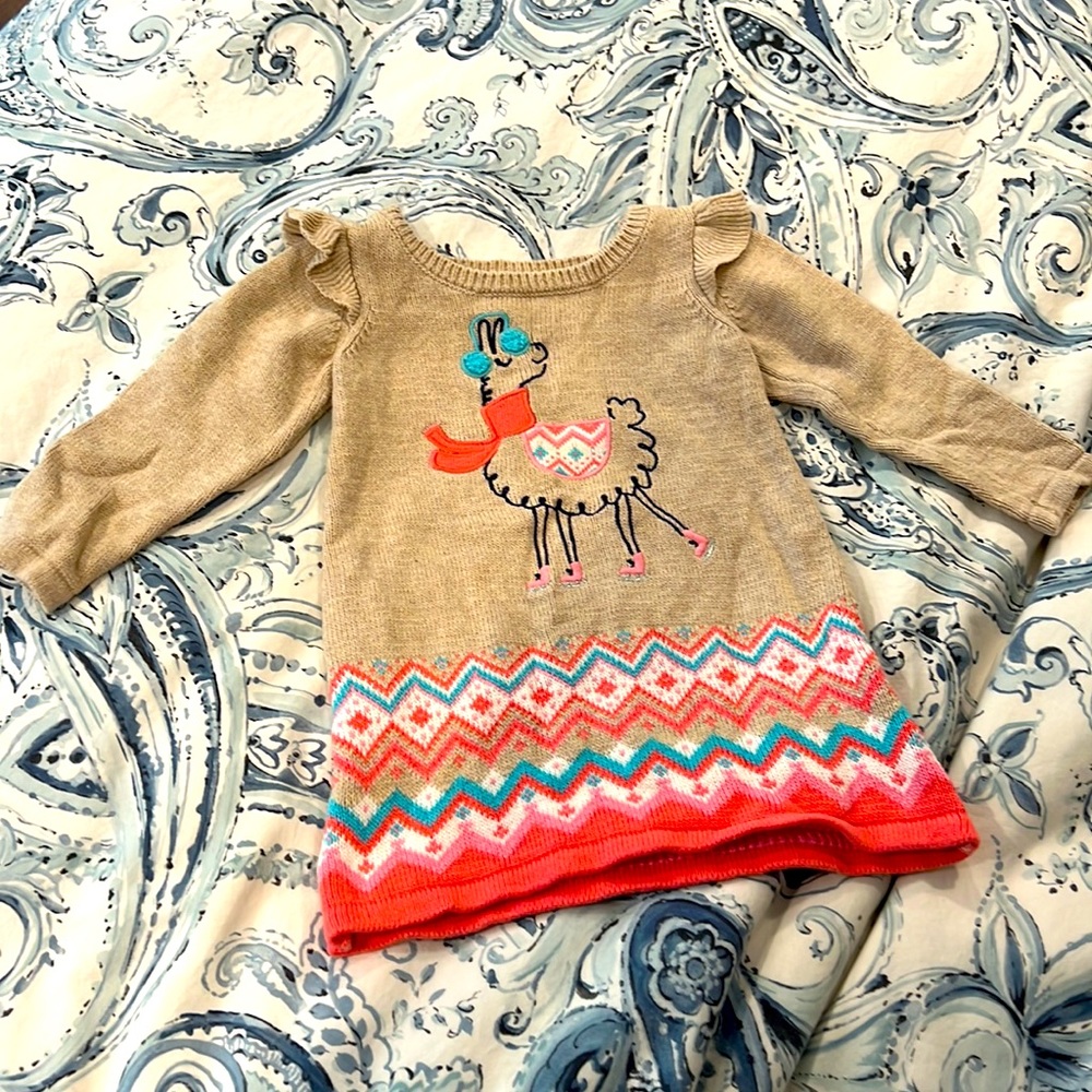 Toddler girl’s sweater dress